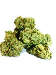 Khalifa Kush