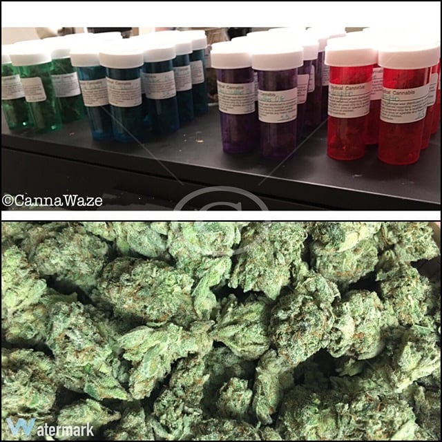 Gorilla Glue