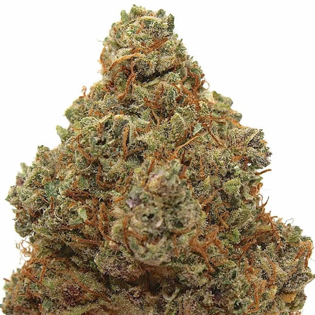 Blackberry Fire #6