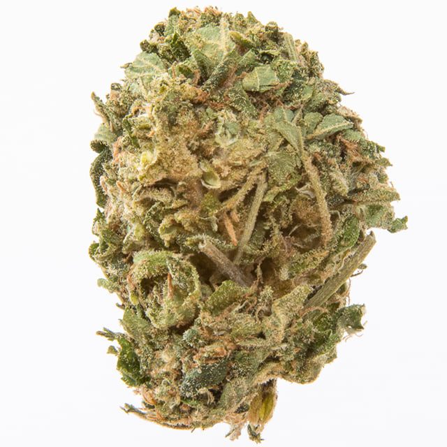 Premium Skywalker OG
