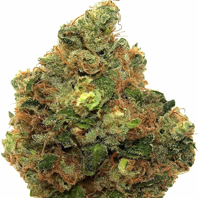 Mt. Hamilton Headband