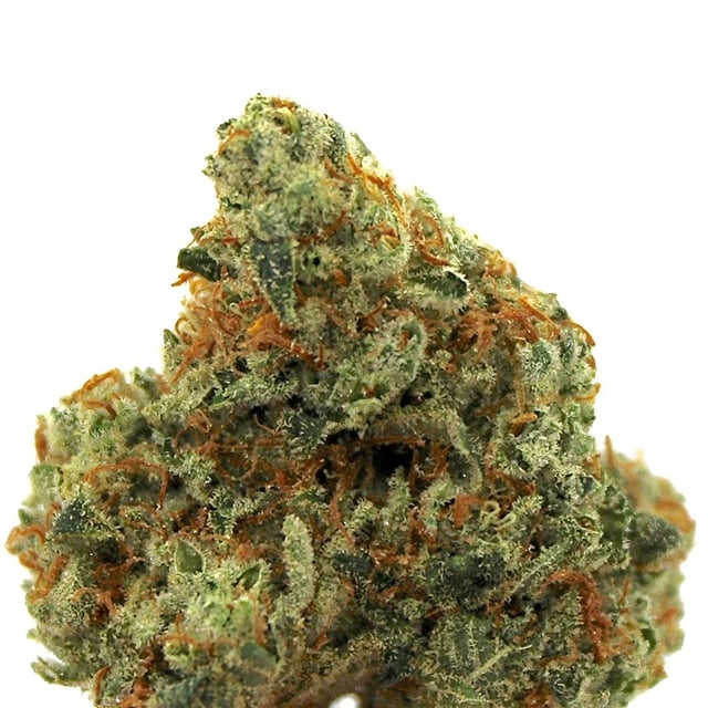 Sour OG