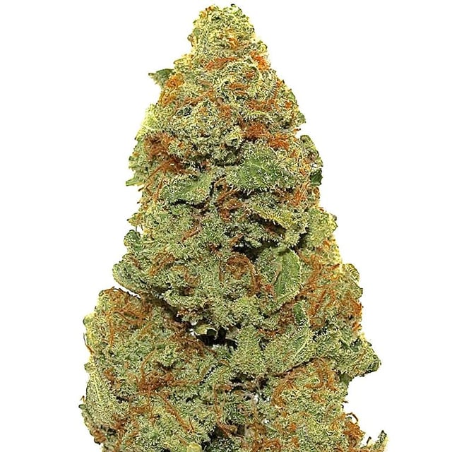 Blue Frost