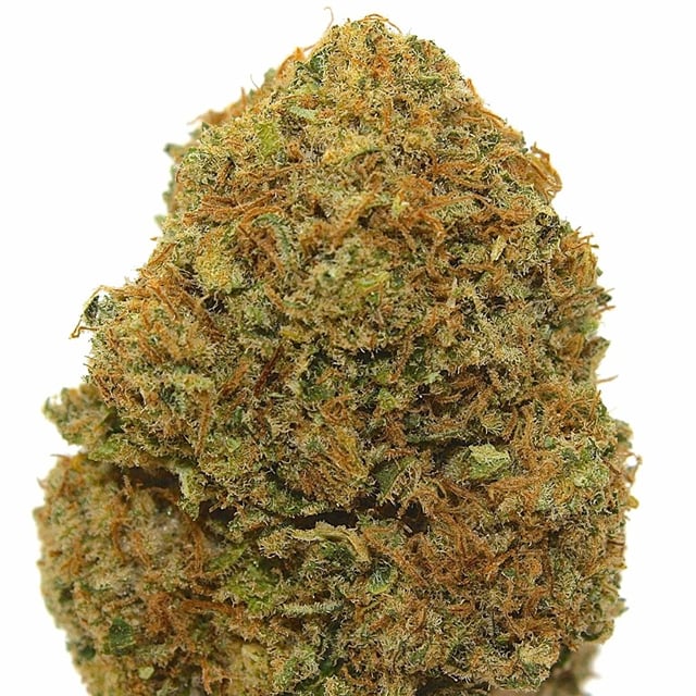 Alien OG