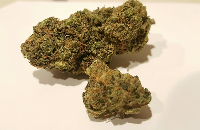 Flower - Gelato