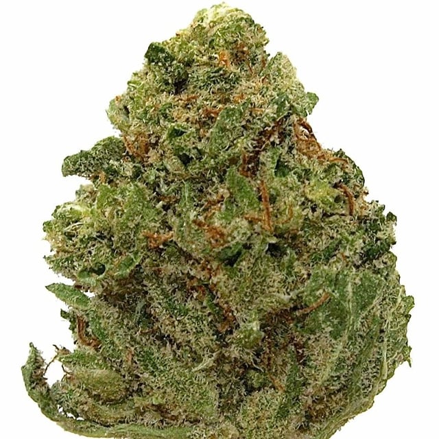 White Widow