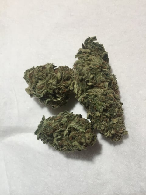 Organic Blue Dream