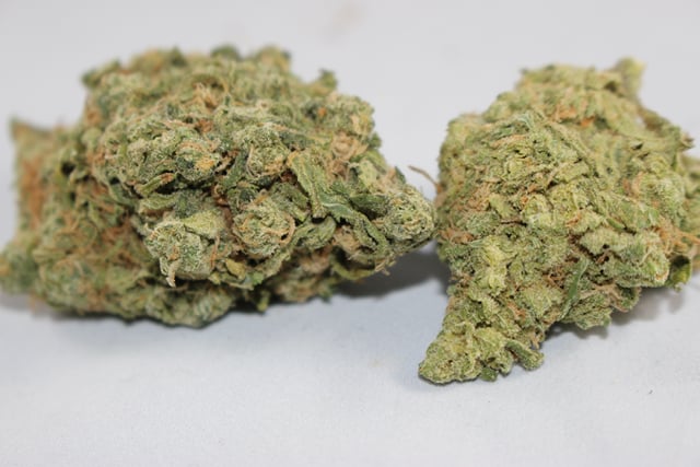 Snoop Dream