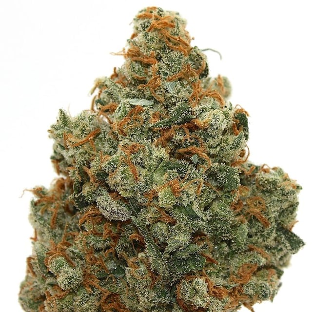 Jack Herer