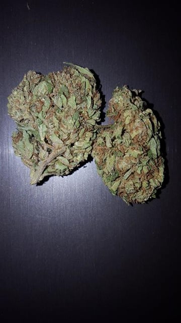 Fruity Loops (indoor)