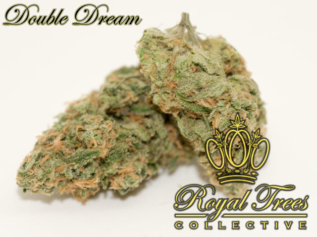 Double Dream