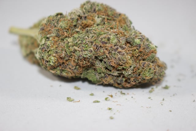 Purple Grapefruit