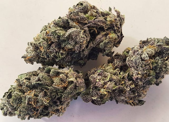 Purple Nepal