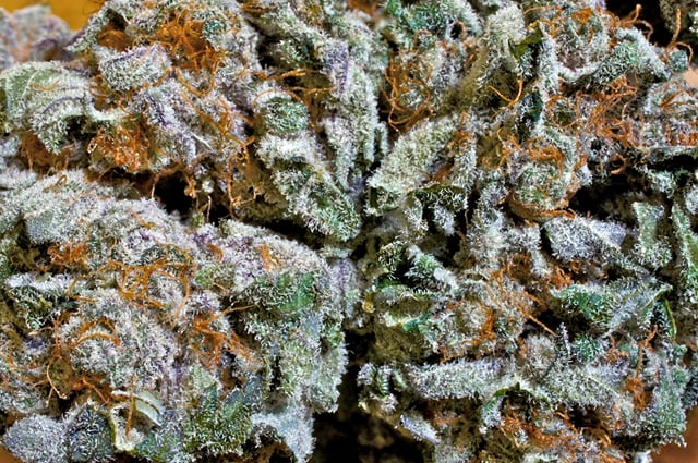 Blackberry Kush
