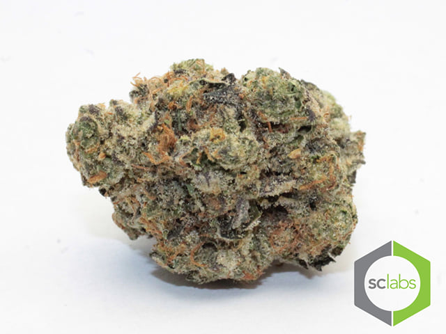 Platinum Thin Mints