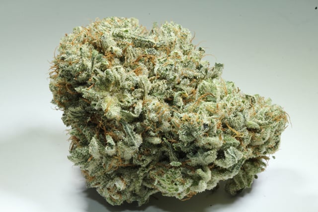 Super Monkey Glue