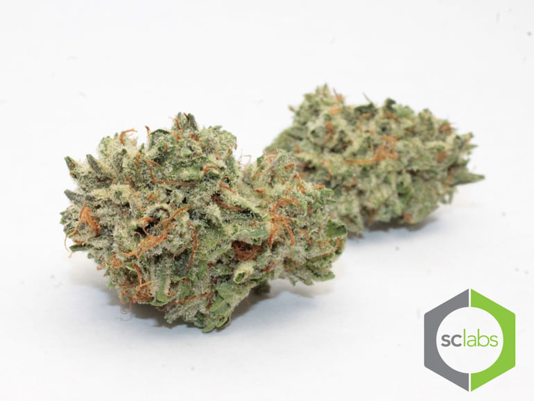 MK Ultra