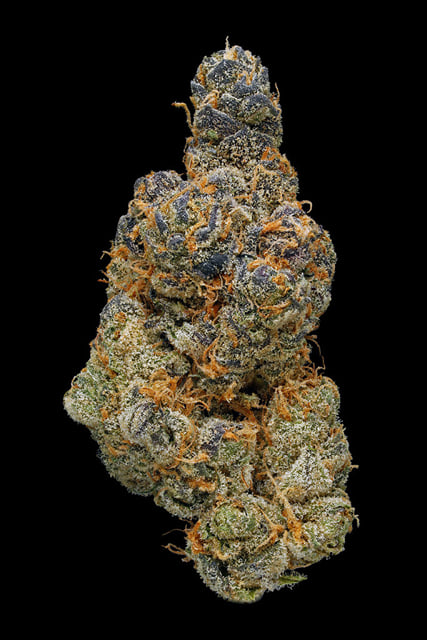 Platinum Girl Scout Cookies