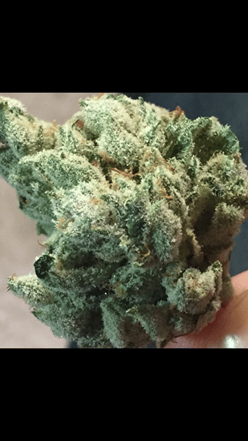 Super Glue