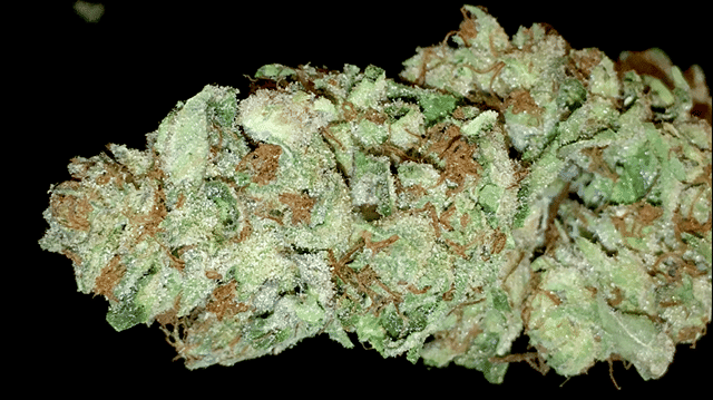 Cotton Candy Bubba