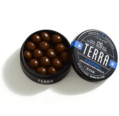 Blueberry Terrabytes