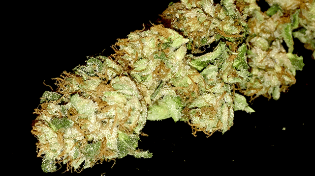 Heirloom OG