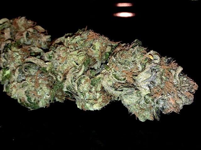 Critical Kush