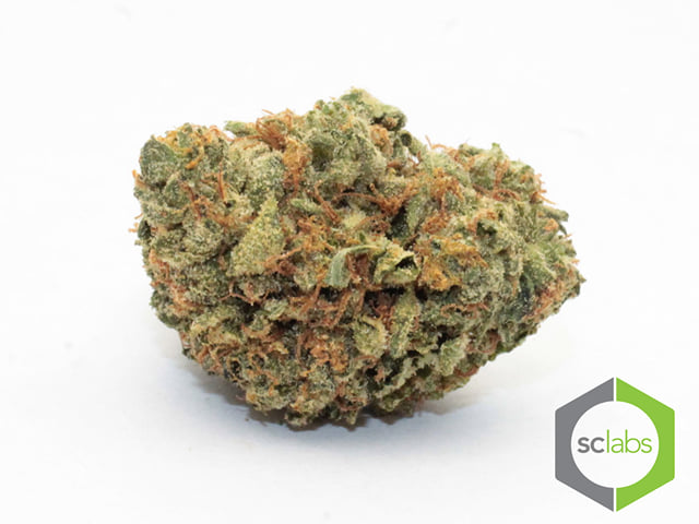 Abusive OG