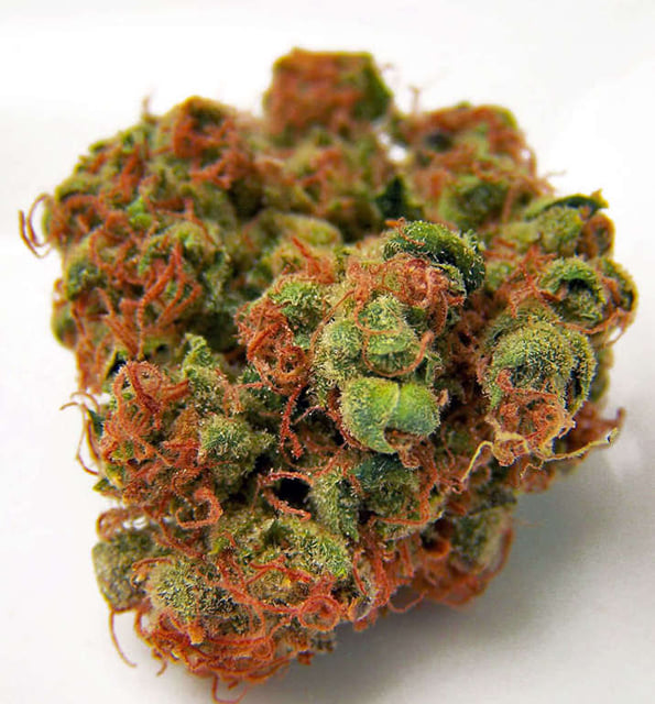 SFV OG