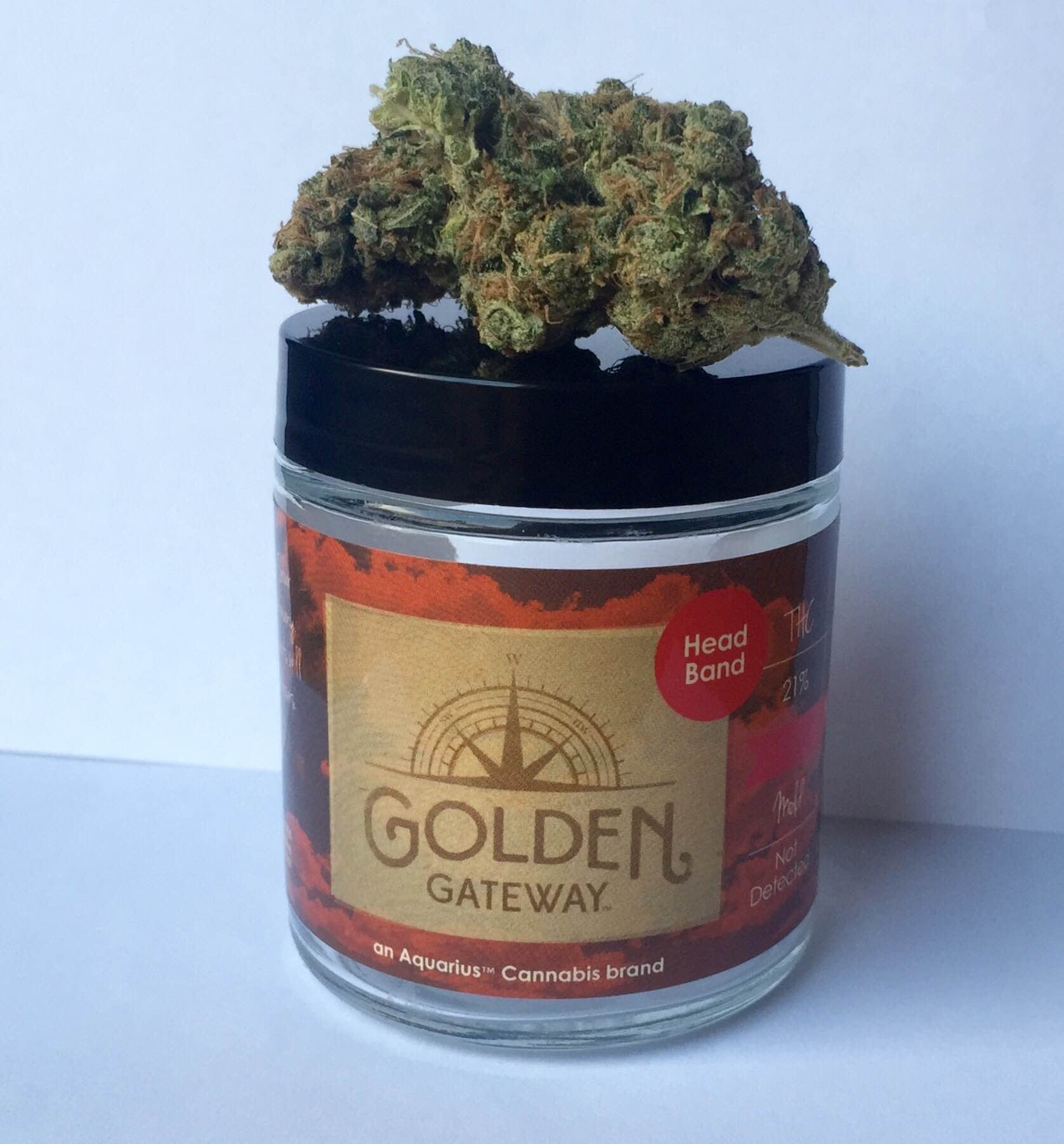 Headband
