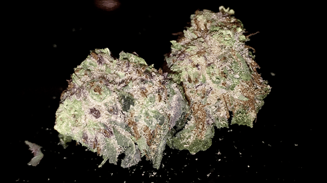 Chocolate Hashberry