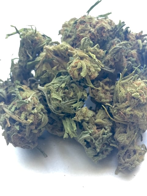 Indica - Bodhi Seeds - SMALLS
