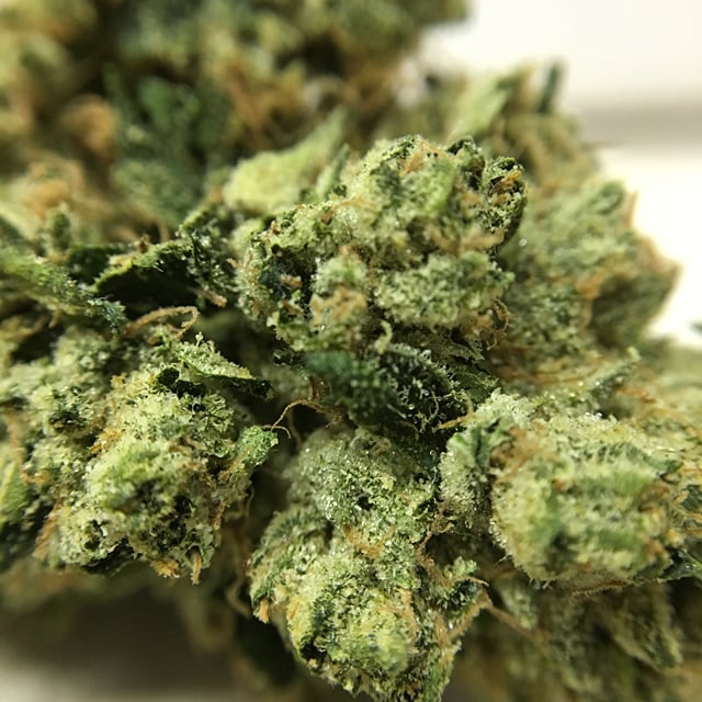 Ghost OG