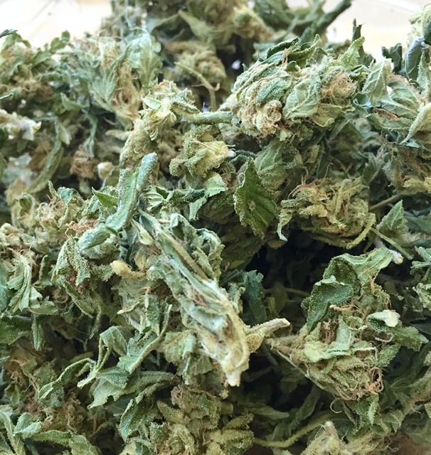 Lemon Chunk Smalls - Bodhi Seeds