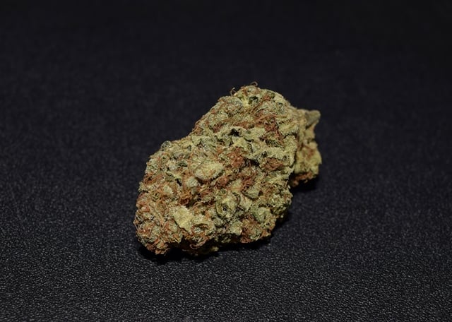 Agent Orange (Indoor)