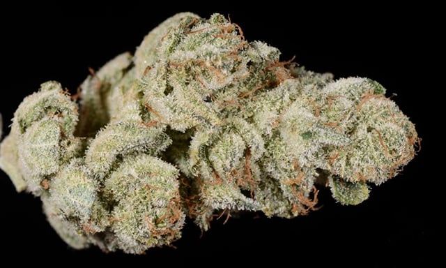 Gorilla Glue #4