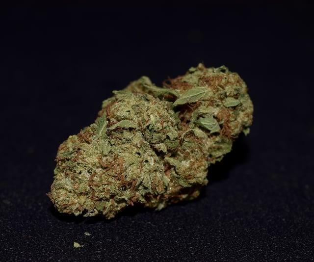 Moolah (Sungrown)