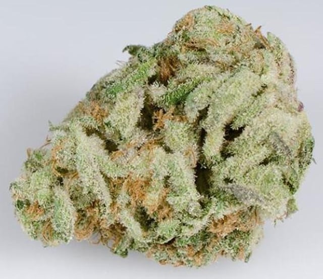 XJ-13
