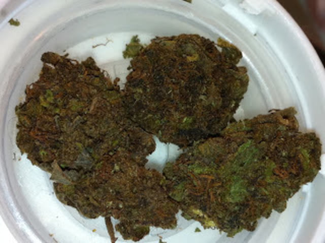 Kuick Kush HOUSE HYBRID