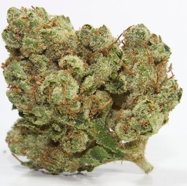 OG COLOMBIA **EXCLUSIVE PRIVATE RESERVE**
