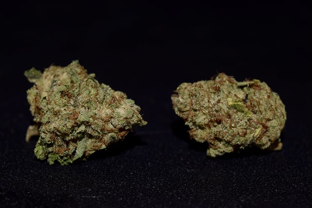 True OG (Indoor)