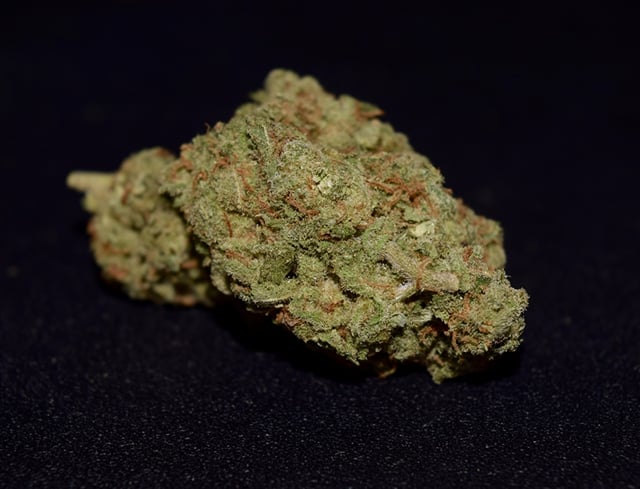 Critical Jack (Indoor)