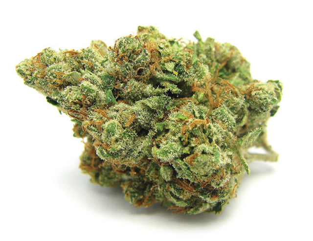 NORTHERN LIGHTS
