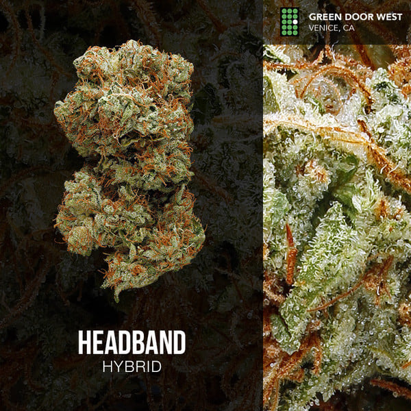 Headband