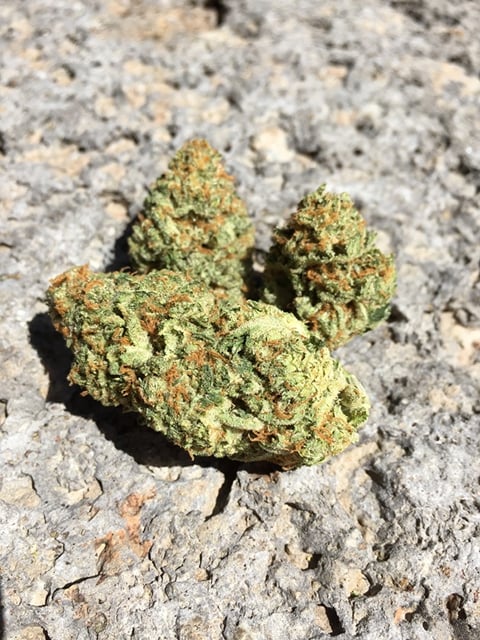 Brutal Farms - Sunset Sherbet
