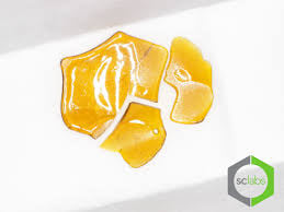 Absolute Girl Scout Shatter