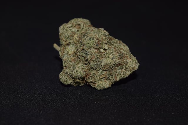 Gorilla Glue #4 (Indoor)