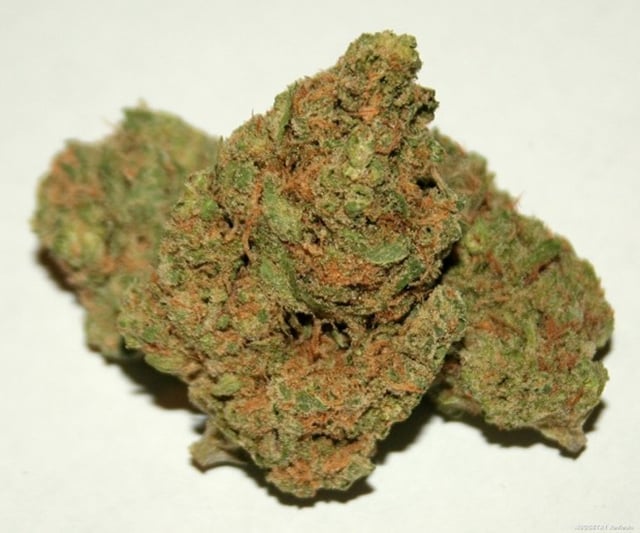BLUE DREAM **EXCLUSIVE PRIVATE RESERVE**