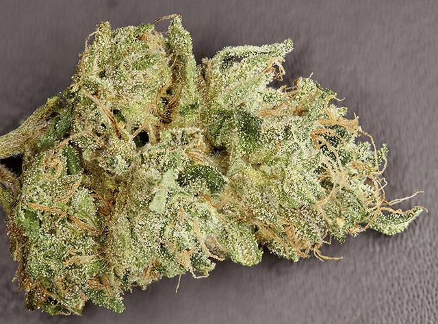 501st OG