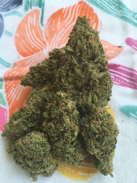Super Silver Haze